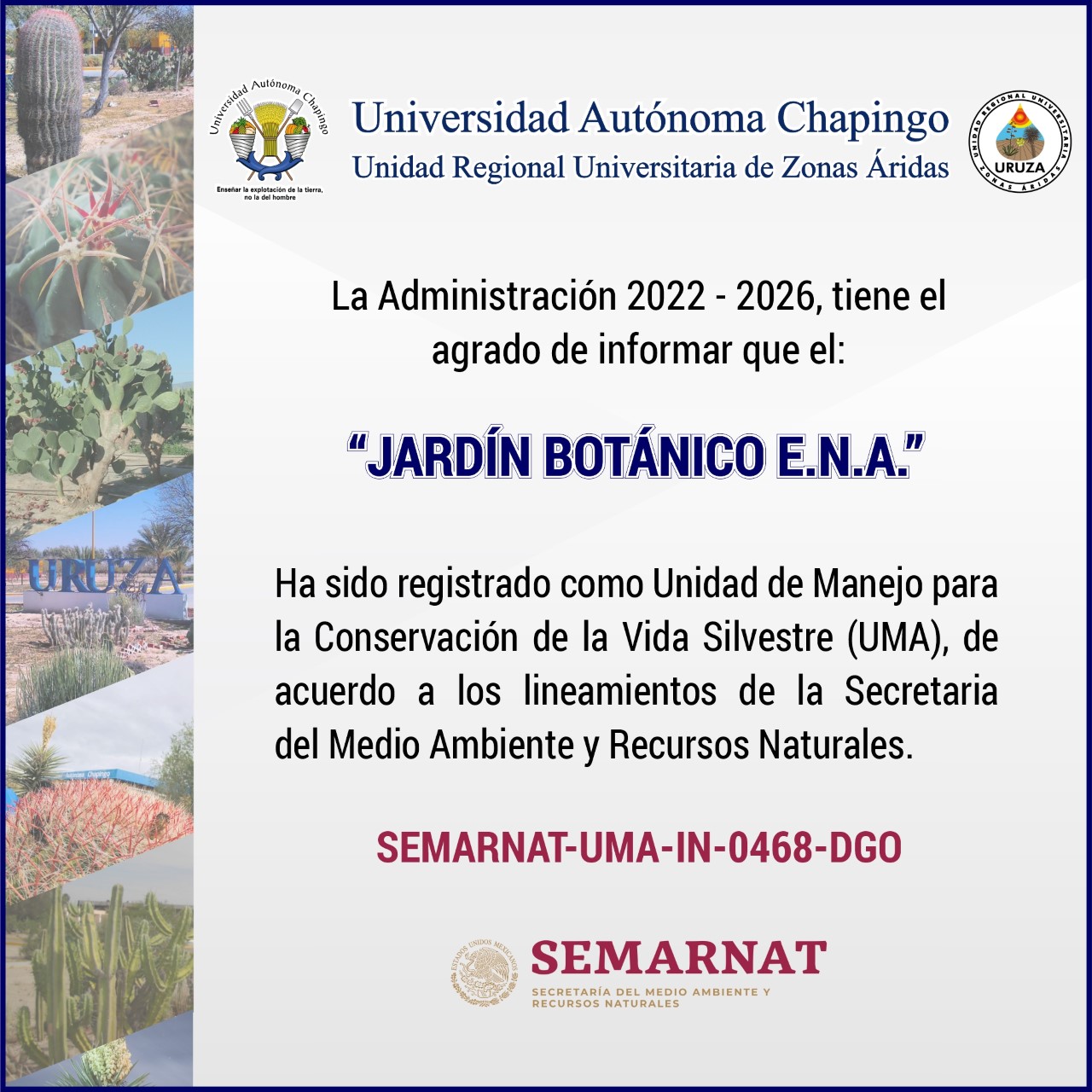 Banner JardinBotanico-02.jpg